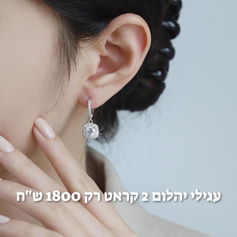 עיצוב חדש 11