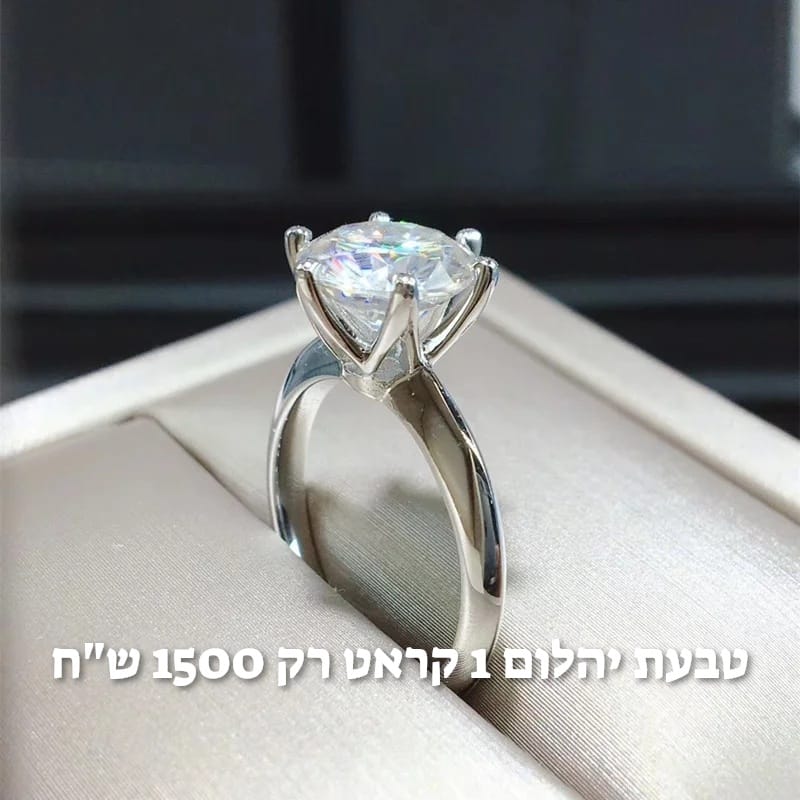 עיצוב חדש 21