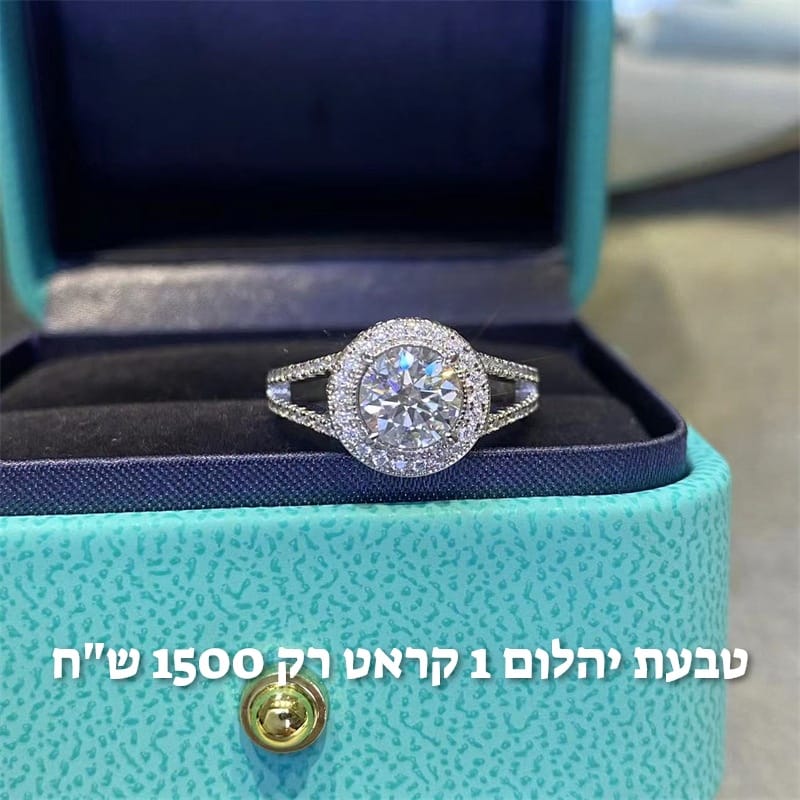 עיצוב חדש 24