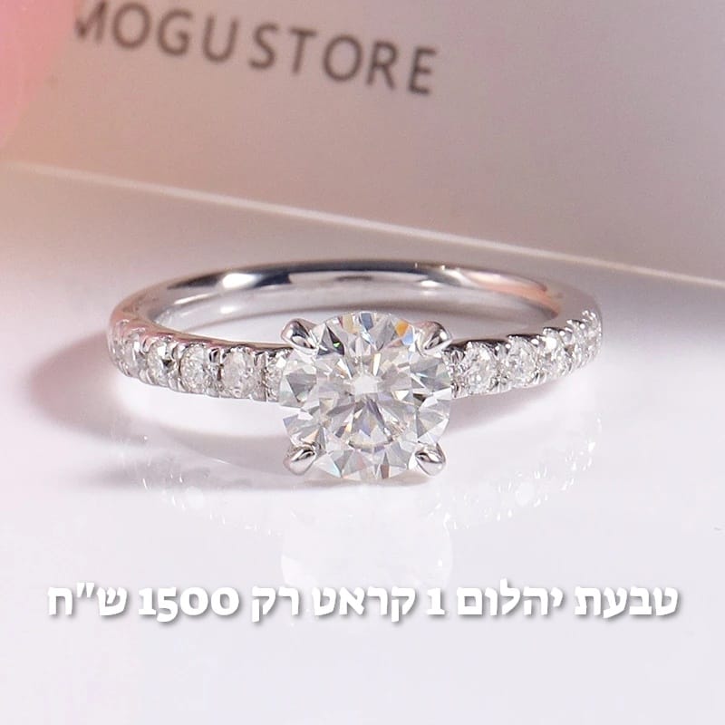 עיצוב חדש 26