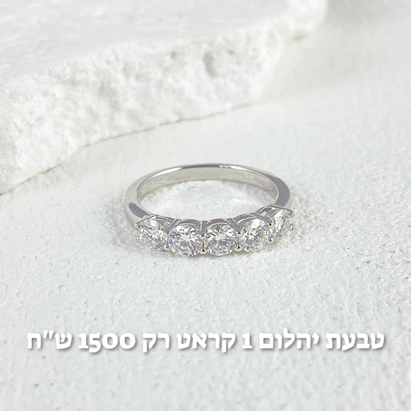 עיצוב חדש 30