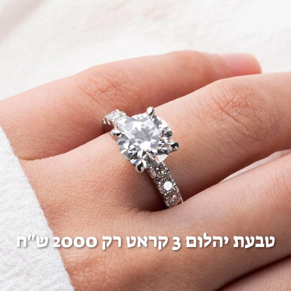 עיצוב חדש 31