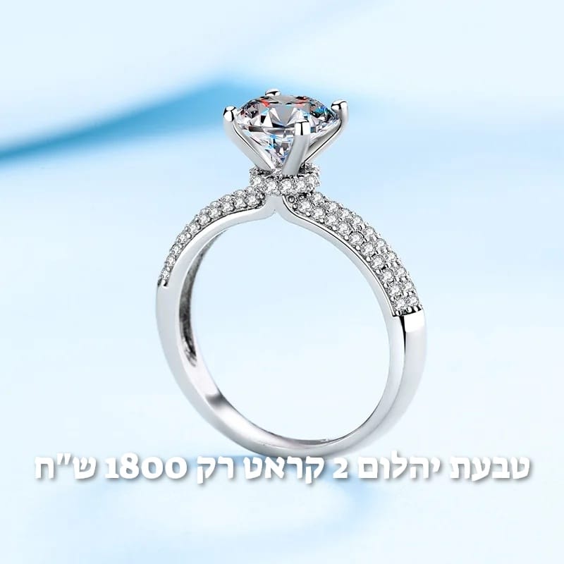 עיצוב חדש 40