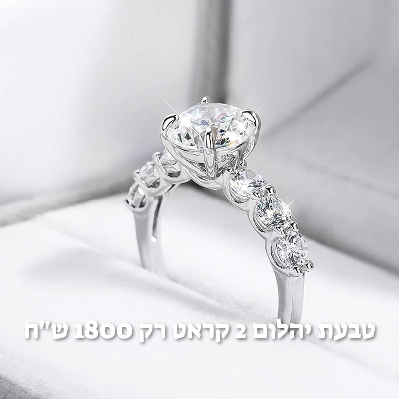 עיצוב חדש 42