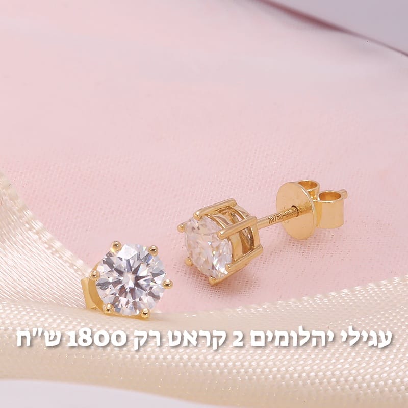 עיצוב חדש 54