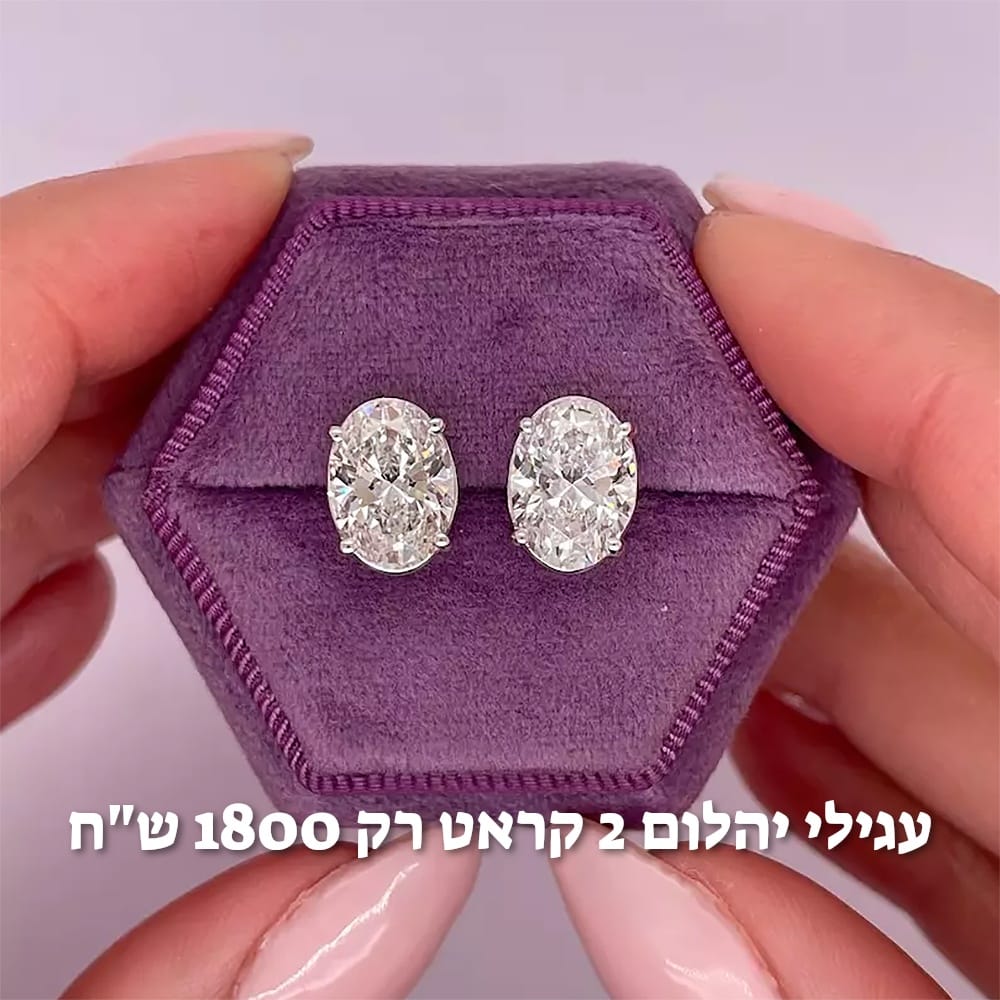 עיצוב חדש 56