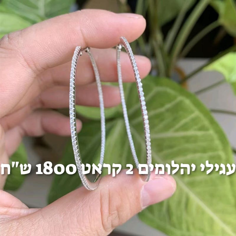 עיצוב חדש 60