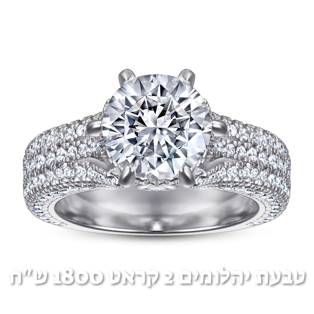 עיצוב חדש 66