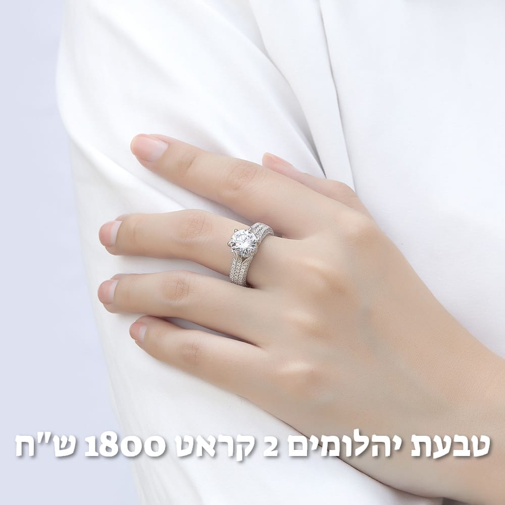 עיצוב חדש 67