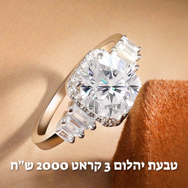 עיצוב חדש 81