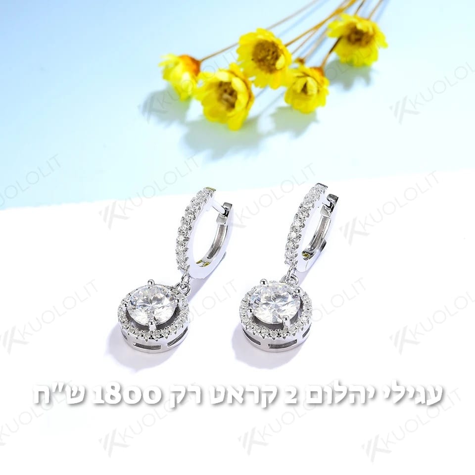 עיצוב חדש 82